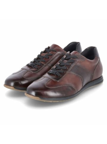 Bugatti Schnürhalbschuh in braun