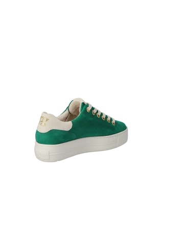 Paul Green Schnürschuhe in green/ivory