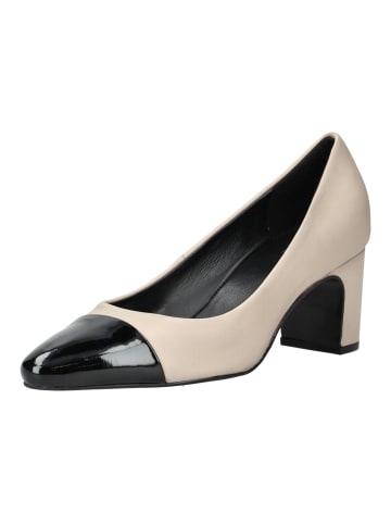 Högl Pumps in Beige/Schwarz