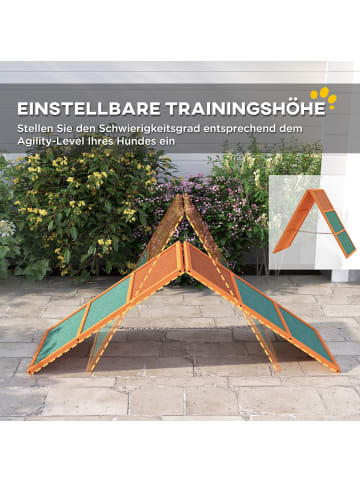 Pawhut Hunde Agility Steg Orange Tannenholz