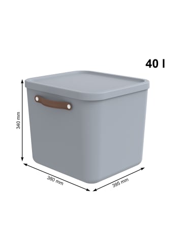 Rotho 2er-Set Aufbewahrungskiste 40l in Misty blue