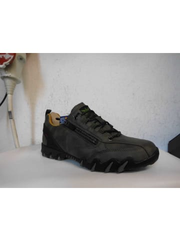 Allrounder Schnürschuh in grün