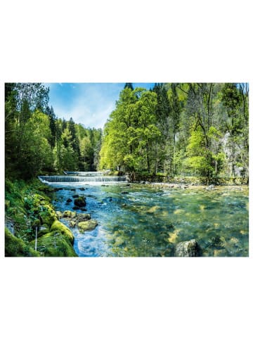 WALLARENA Fototapete Wald in Grün