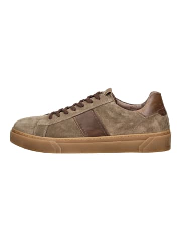 Nero Giardini Sneaker in Fango