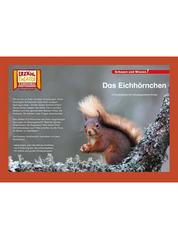 Hase und Igel Kamishibai: Das Eichhörnchen | 10 Fotobildkarten für das Erzähltheater