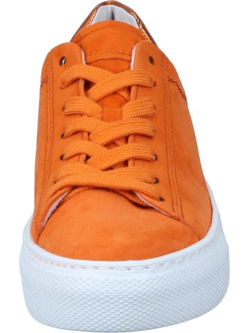 Gabor Schnürschuhe in mandarin/orange