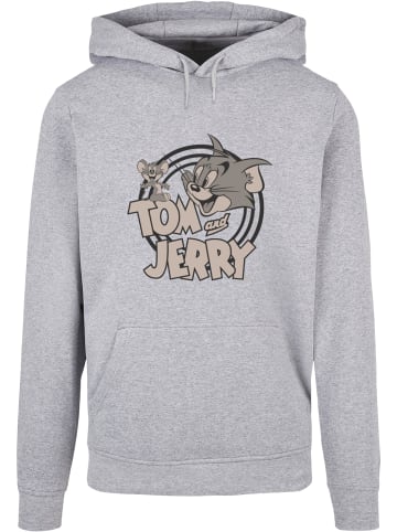 Absolute Cult Absolute Cult Kapuzenpullover in heather grey