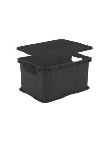Rotho Systembox A4 mit Deckel AGILO