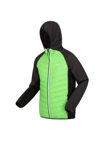 Regatta Softshelljacke Steppjacke Andreson VIII Hybrid in Lime