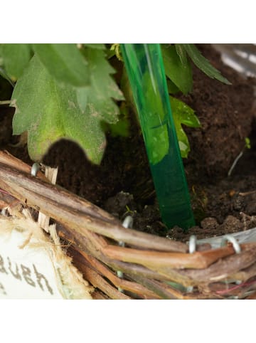 relaxdays 12x Bewässerungskugeln in Grün