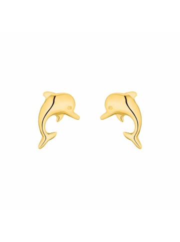 Amor Ohrstecker Gold 375/9 ct in Gold