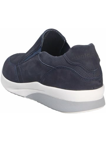 WALDLÄUFER für Erwachsene in blau