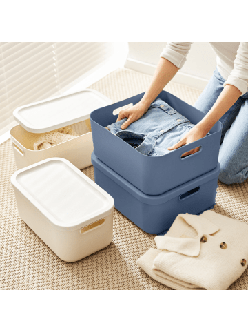 Rotho Albula Light 2er-Set Aufbewahrungskiste 20l in Horizontblau