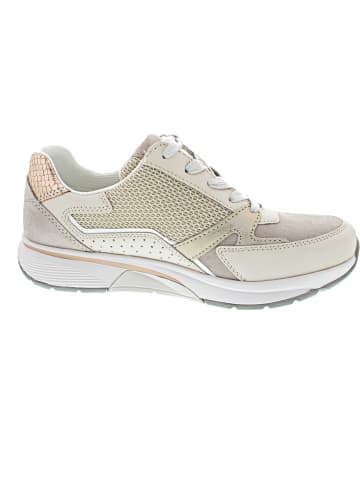 Gabor Comfort Sneaker Beige