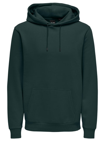 ONLY & SONS Sweatshirt / Hoodie Ceres in Darkest spruce