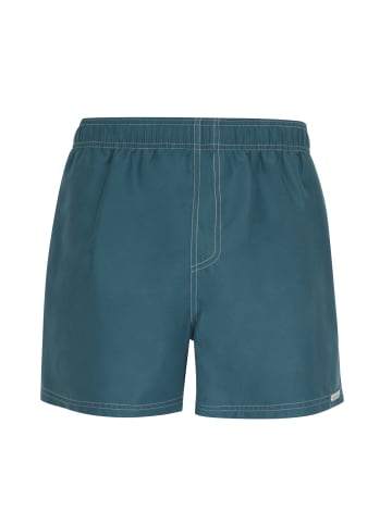 wavebreaker Shorts in hellblau