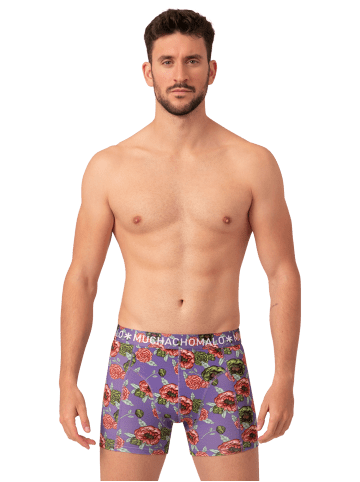 Muchachomalo 4er-Set: Boxershort in Mehrfarbig - für Herren