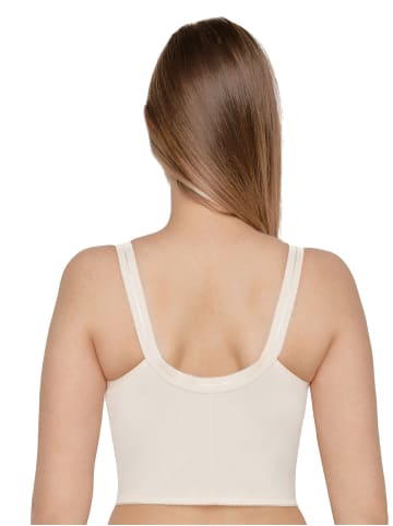 SUSA Longline BH Classics in shell