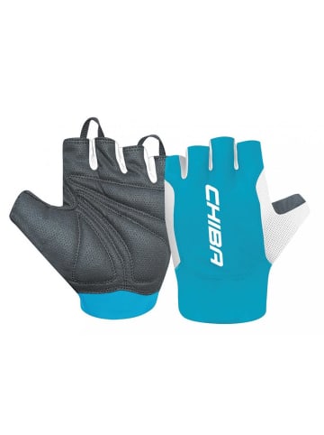 Chiba Handschuhe Mistral kurz   / 10,