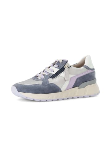 Gabor Comfort Sneaker low in multicolour