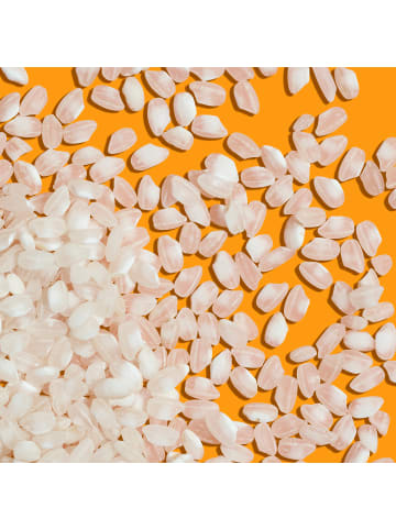 Reishunger Bio Sushi Reis (600g)