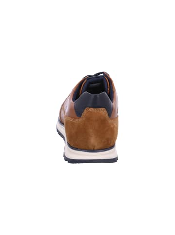 Bugatti Sneaker Cirino in Braun