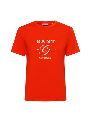 Gant T-Shirt in orange