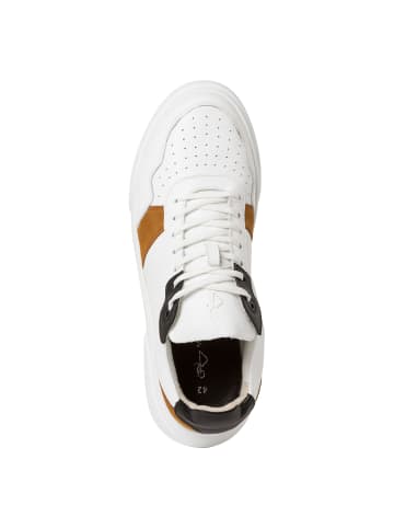 Marco Tozzi BY GUIDO MARIA KRETSCHMER Sneaker in WHITE/BLACK