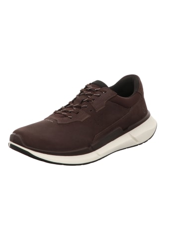 Ecco Schnürschuh in braun