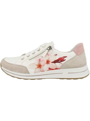 ara Sneaker low 12-24801 in weiss