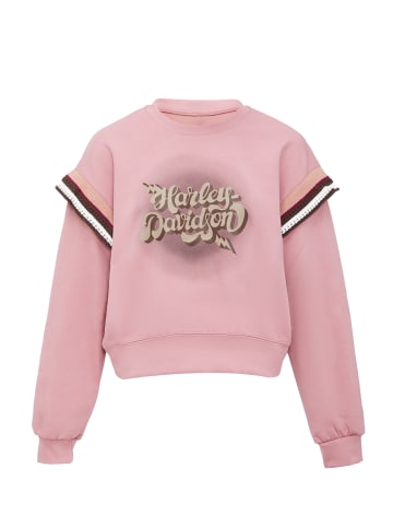 Homebase Sweatshirt in Pink