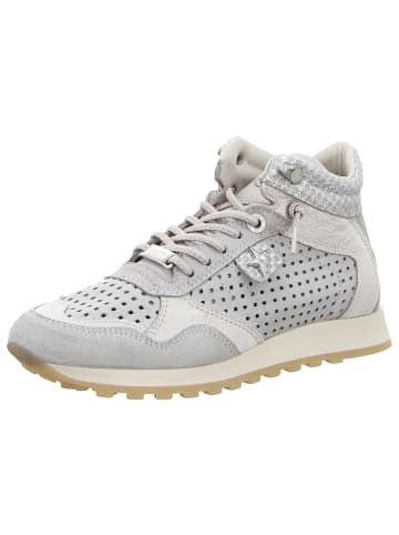 Cetti Sneaker in beige