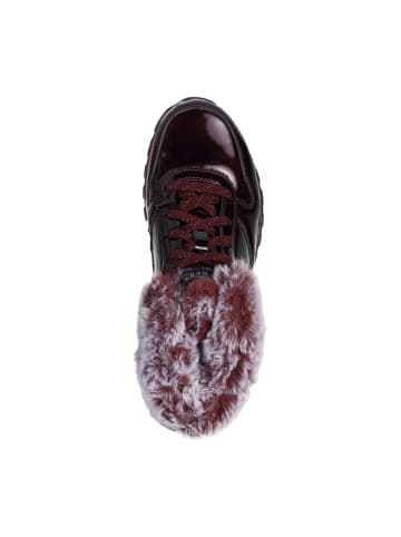 Skechers Sneakers UNO RUGGED-FIESTY WINTER in burgundy