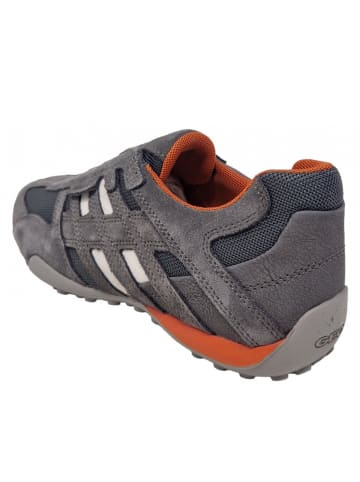 Geox Slipper Snake L in Grau
