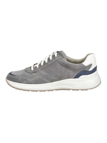 Pius Gabor Sneaker in Grau/Weiß