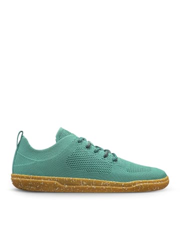 Groundies Sneaker Low in grün