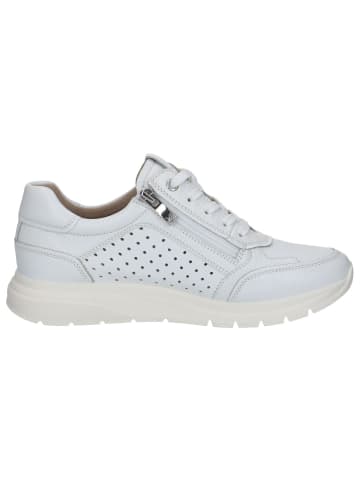 Caprice Sneaker in WHITE DEER