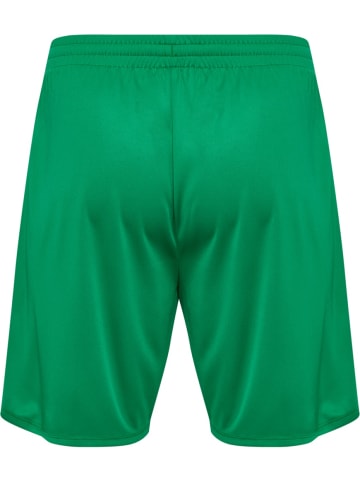Hummel Short "Essential Shorts" in Multicolor