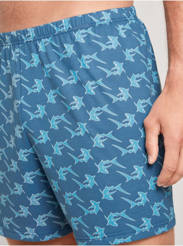 Calida Boxershorts in Indian blu