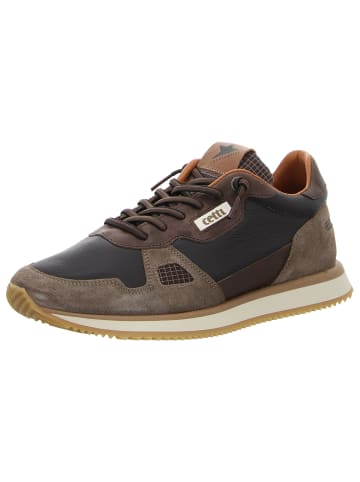 Cetti Sneaker in braun