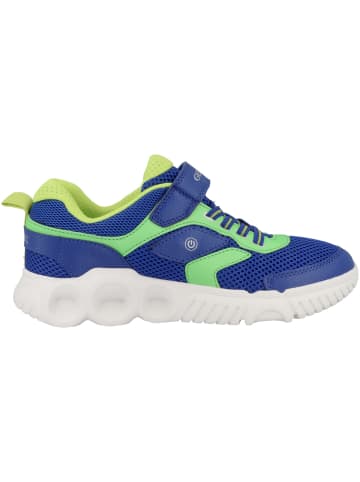 Geox Sneaker low J Wroom B. B in blau