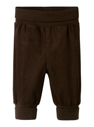 name it Hose in Delicioso