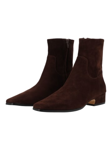 Steve Madden Stiefelette DUSTY in Chocolate
