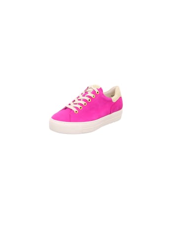 Paul Green Sneaker pink in pink