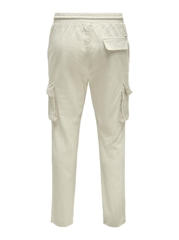 ONLY & SONS Cargo-Hose in Silver Lining 1