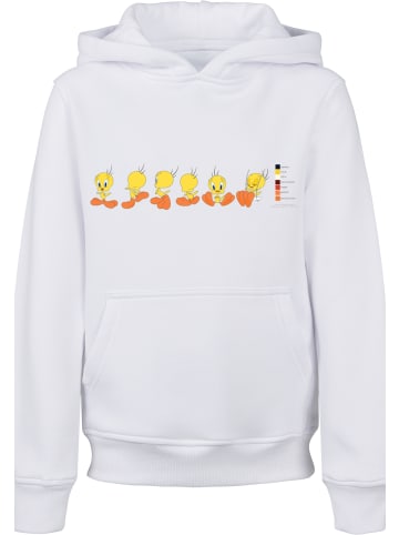 F4NT4STIC F4NT4STIC Hoodie in white