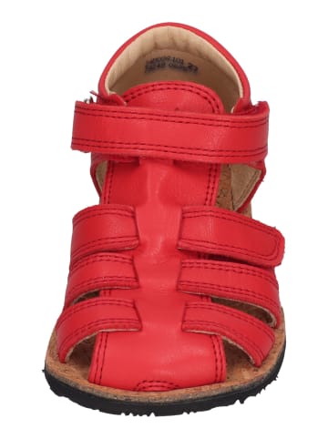KOEL Sandalen ARIN NAPPA  in rot