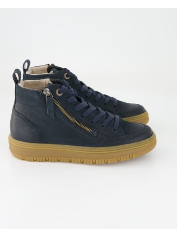 Paul Green Schnürstiefeletten in Blau