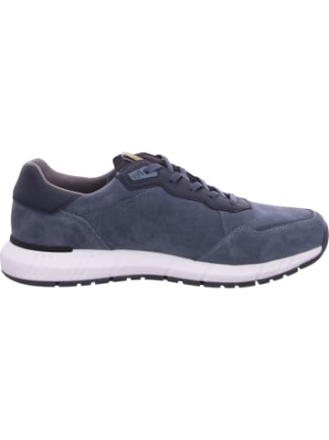 SALAMANDER Sneaker  in Blau