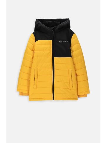 Coccodrillo Winterjacke in honiggelb